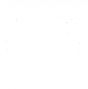 Rural Institution for Community Development